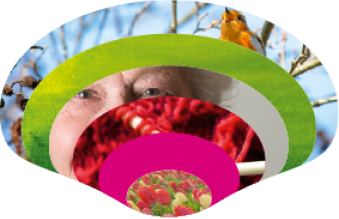 Logo Zorggroep Groningen